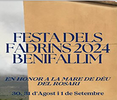 Festa dels Fadrins