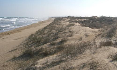 /Esp/Cosas_que_hacer/Playas_y_Calas/PublishingImages/La Marina/la marina (7).JPG