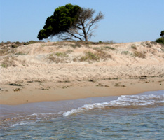 Playa del Pinet