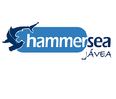 Hammersea