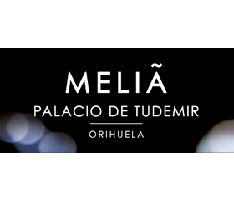 Melia Palacio de Tudemir